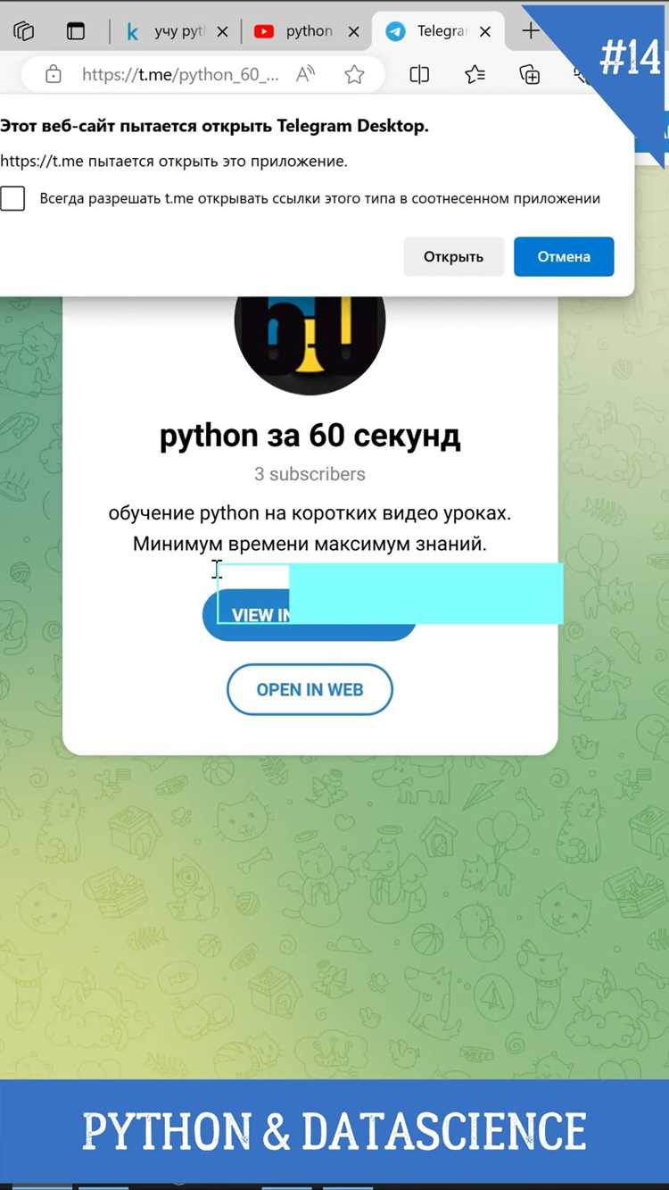 Какие базовые типы данных и структуры использовать для хранения информации