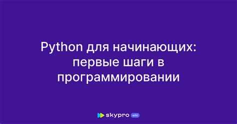 Обработка ошибок с помощью try/except