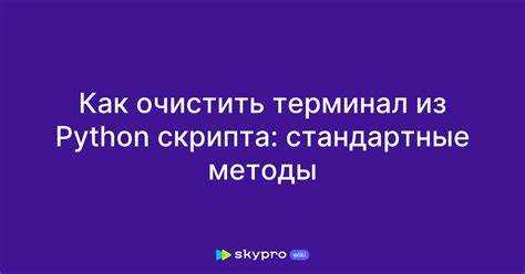 Создание функции для кроссплатформенной очистки терминала