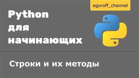 Как получить данные от пользователя python Как получить данные от пользователя python