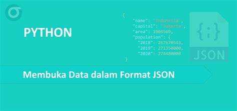 Пример записи JSON с кастомным форматированием
