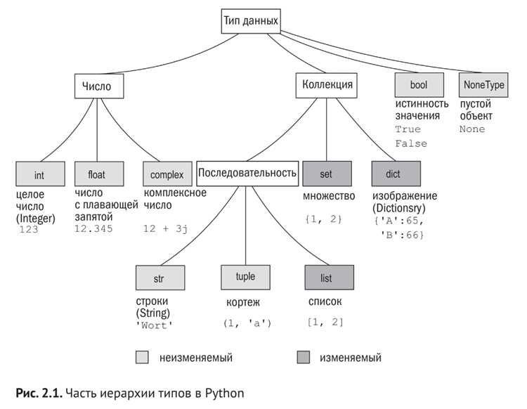 Как задать тип данных python Как задать тип данных python