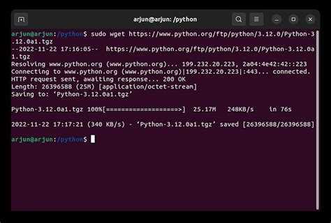 Установка Python через пакетный менеджер APT
