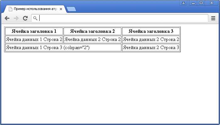 Тег tr в HTML: назначение и применение