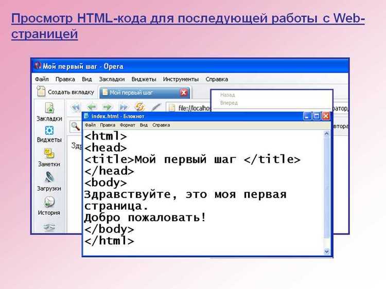 Проверка отображения сайта в браузере
