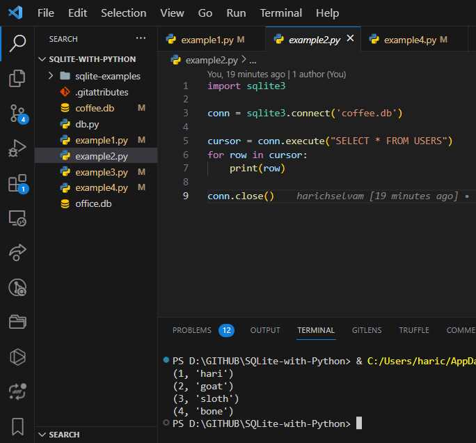 Установка sqlite3 через pip на разных операционных системах