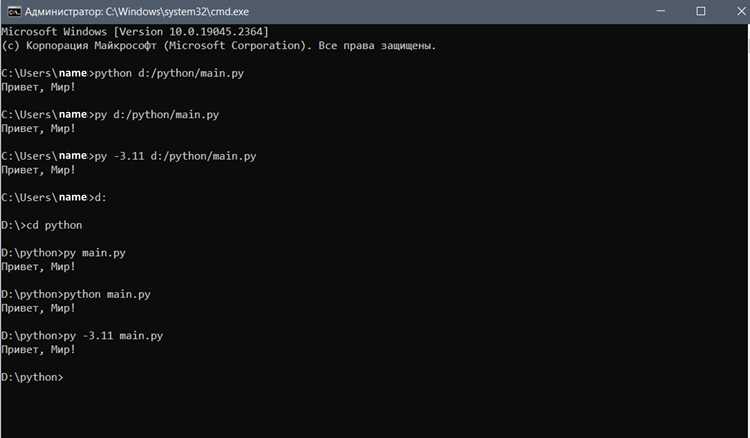 Проверка наличия Python и pip на компьютере