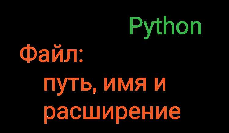 Определение директории Python в macOS через терминал