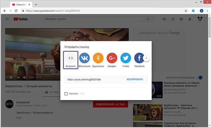 Получение кода для встраивания видео на YouTube