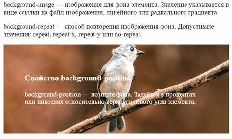 Использование свойства background-position для движения фона