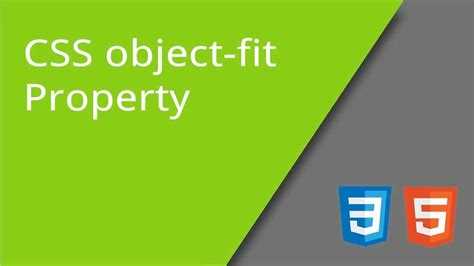 Как контролировать размеры с помощью flexbox