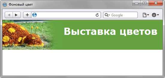 Использование grid для закрепления изображения внизу