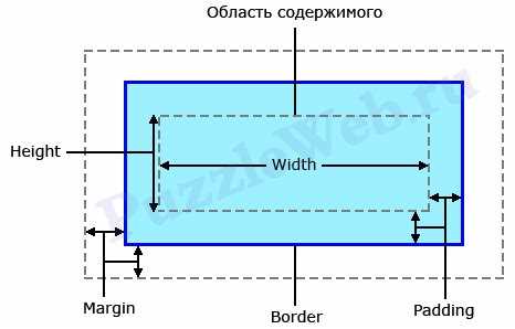 Типичные ошибки при использовании процентов и vh для высоты