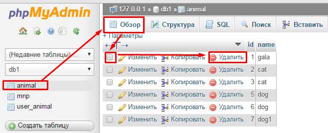 Понимание жизненного цикла курсора в SQL