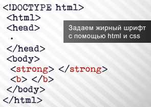 Применение font-weight для выделения слова жирным шрифтом
