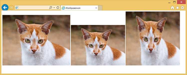 Как задать размер изображения в css