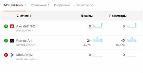 Куда вставлять код метрики wordpress Куда вставлять код метрики wordpress